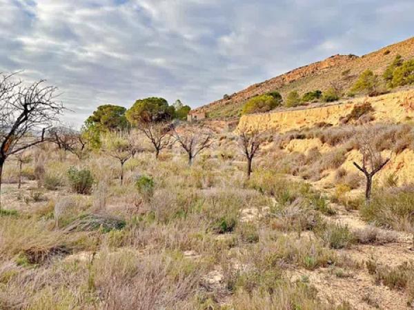 Terreno en avenida Verge de la Pau, 44 -60