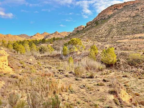 Terreno en avenida Verge de la Pau, 44 -60