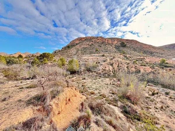 Terreno en avenida Verge de la Pau, 44 -60