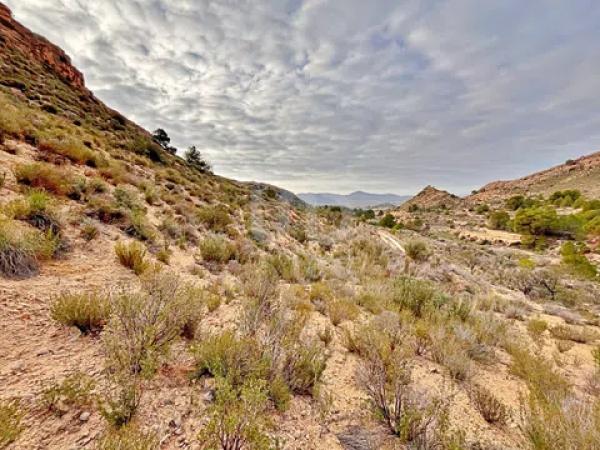 Terreno en avenida Verge de la Pau, 44 -60