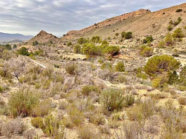 Terreno en avenida Verge de la Pau, 44 -60