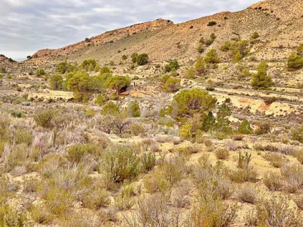 Terreno en avenida Verge de la Pau, 44 -60
