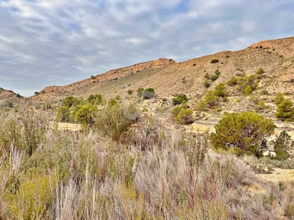 Terreno en avenida Verge de la Pau, 44 -60