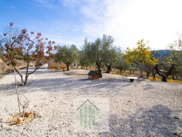 Terreno en Torremanzanas