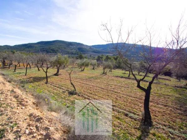 Terreno en Torremanzanas