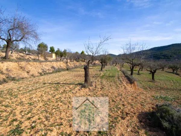 Terreno en Torremanzanas