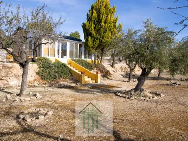 Terreno en Torremanzanas