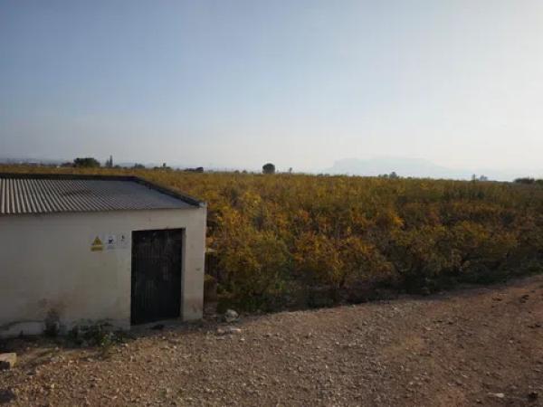 Terreno en via Pista, 207