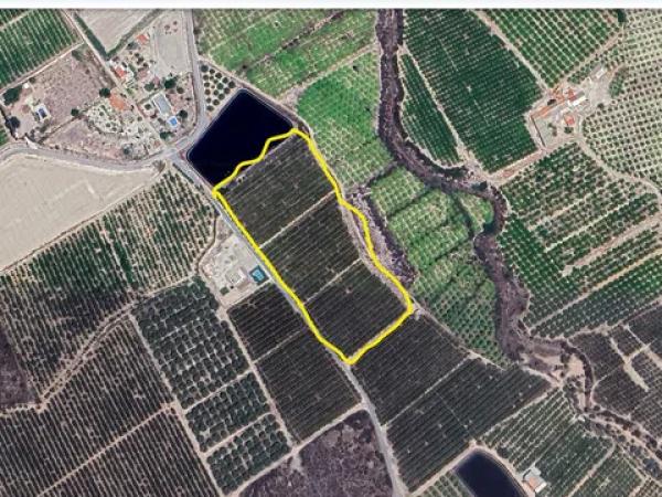 Terreno en via Pista, 207