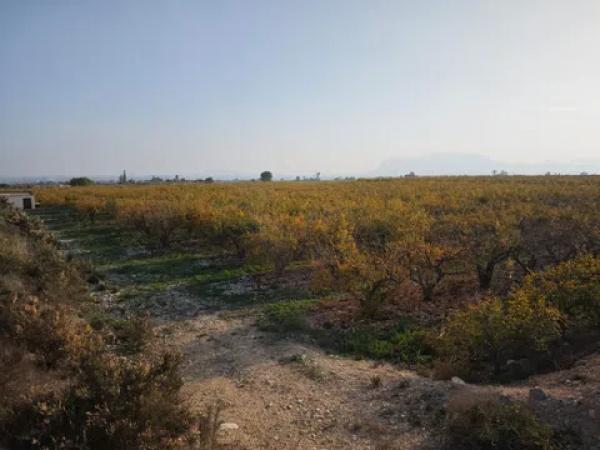 Terreno en via Pista, 207