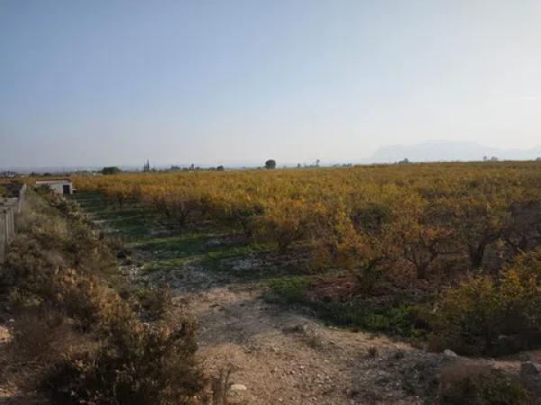 Terreno en via Pista, 207
