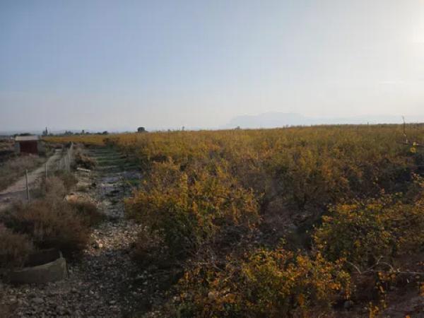 Terreno en via Pista, 207