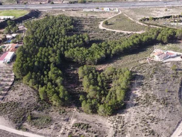 Terreno en La Para, 63