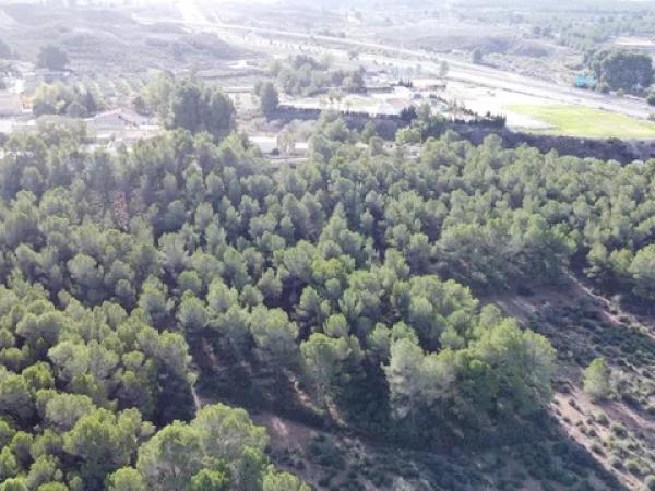 Terreno en La Para, 63