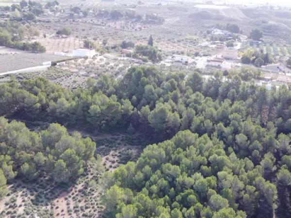 Terreno en La Para, 63