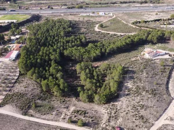 Terreno en La Para, 63