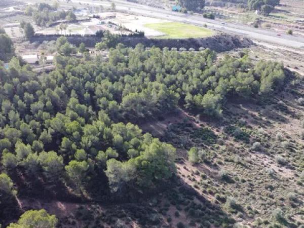 Terreno en La Para, 63