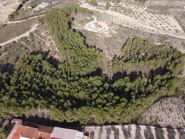 Terreno en La Para, 63