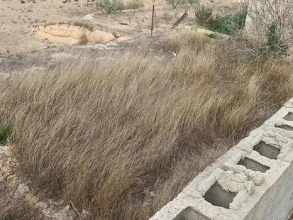 Terreno en Hondón de los Frailes