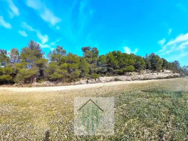 Terreno en Lugar Teix, 13