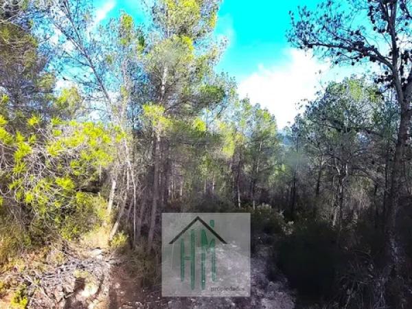 Terreno en Lugar Teix, 13