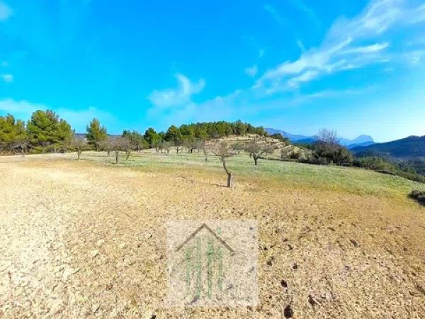 Terreno en Lugar Teix, 13