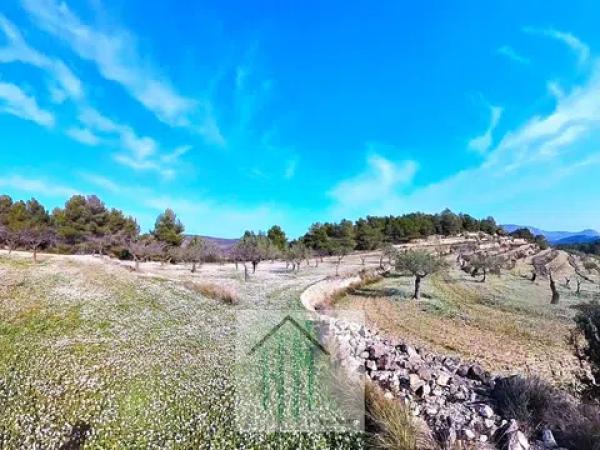 Terreno en Lugar Teix, 13