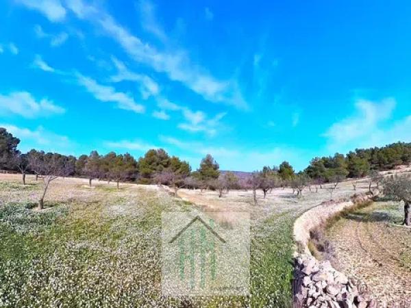 Terreno en Lugar Teix, 13