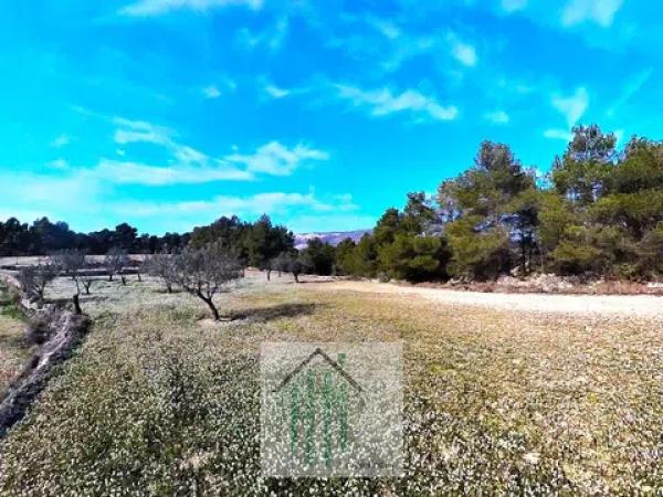 Terreno en Lugar Teix, 13