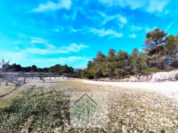 Terreno en Lugar Teix, 13