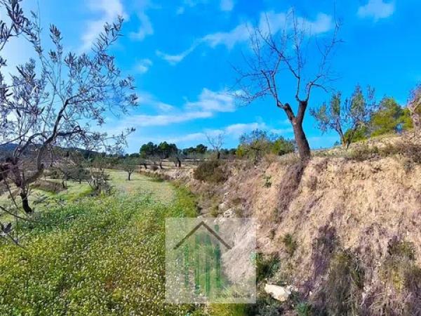 Terreno en Lugar Teix, 13