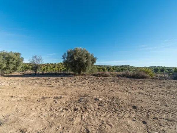 Terreno en Diseminado Poligono 12