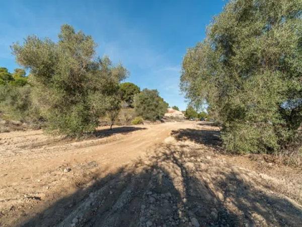 Terreno en Diseminado Poligono 12