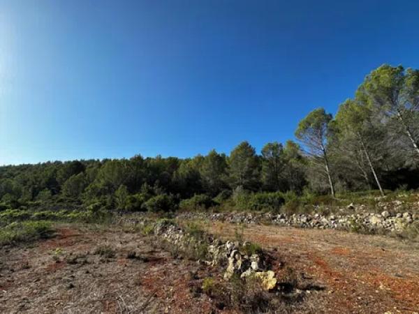 Terreno en calle Sant Judes