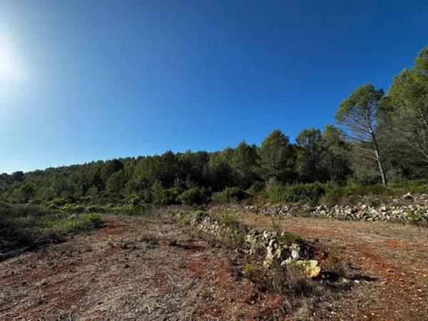 Terreno en calle Sant Judes