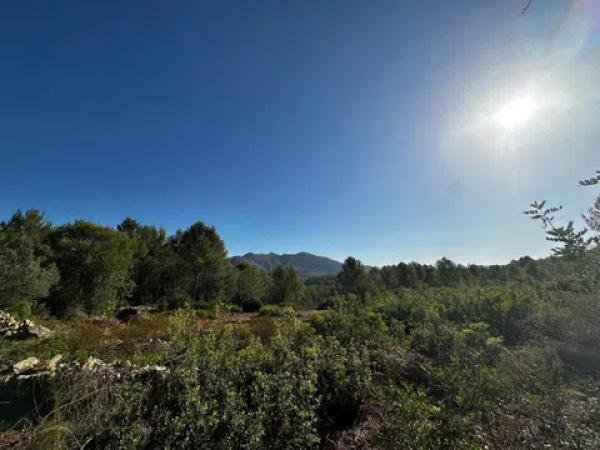 Terreno en calle Sant Judes
