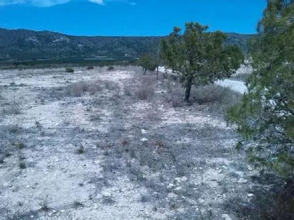 Terreno en Partida Bellongues