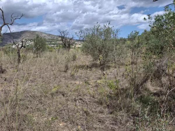 Terreno en Les Passules. Polígono 6, parcela 140., 6 Polgonoparcela