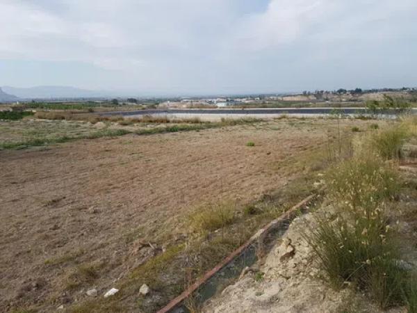 Terreno en Cv 95 s/n