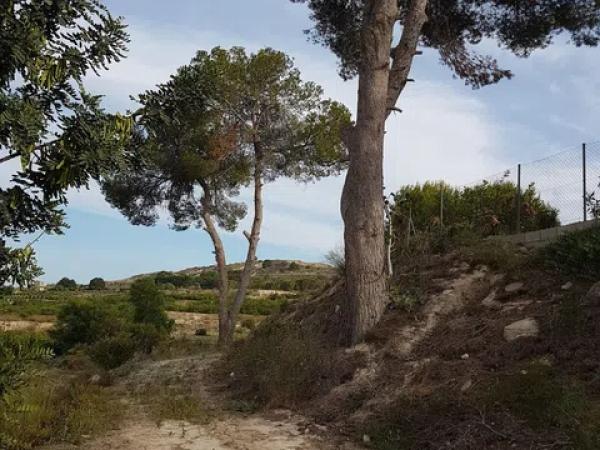 Terreno en Cv 95 s/n