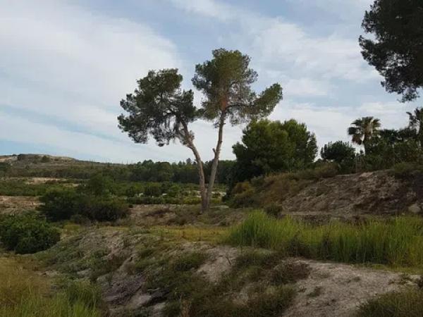 Terreno en Cv 95 s/n