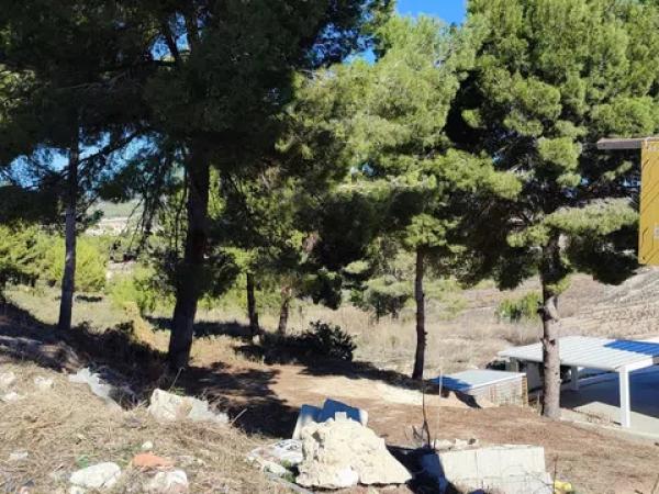 Terreno en Casco Urbano