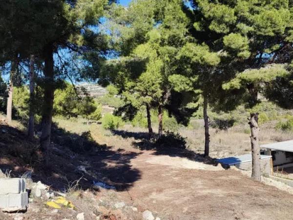 Terreno en Casco Urbano