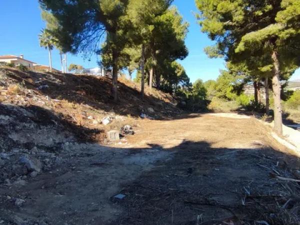 Terreno en Casco Urbano