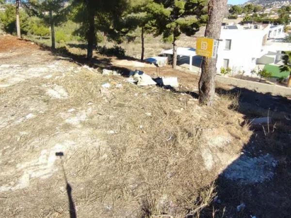 Terreno en Casco Urbano