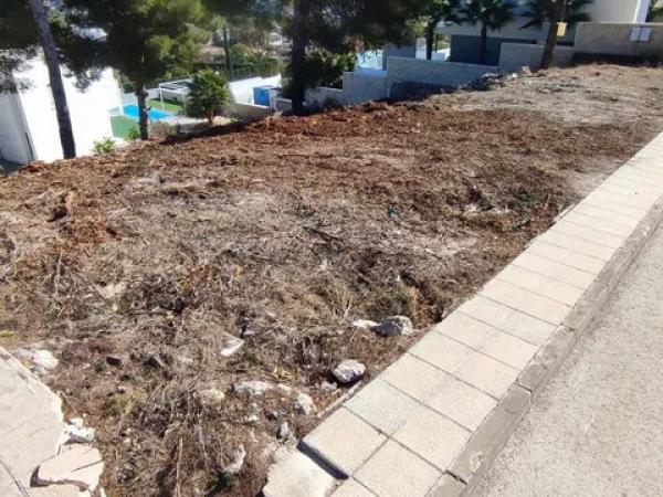 Terreno en Casco Urbano