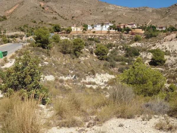 Terreno en calle de Colombia