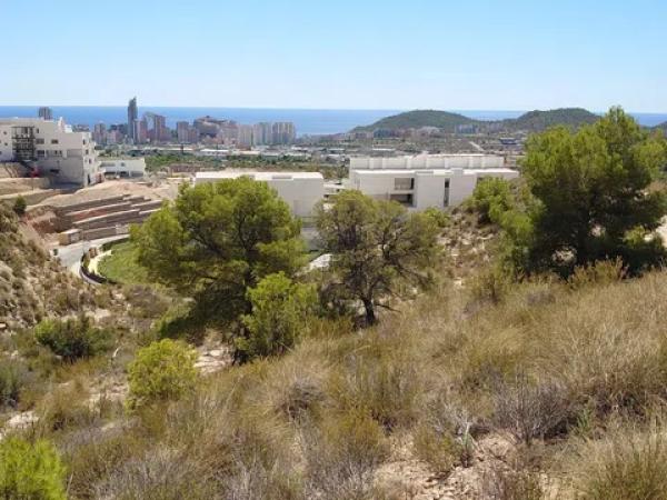 Terreno en calle de Colombia