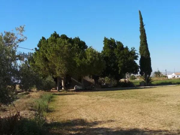 Terreno en Callosa de Segura
