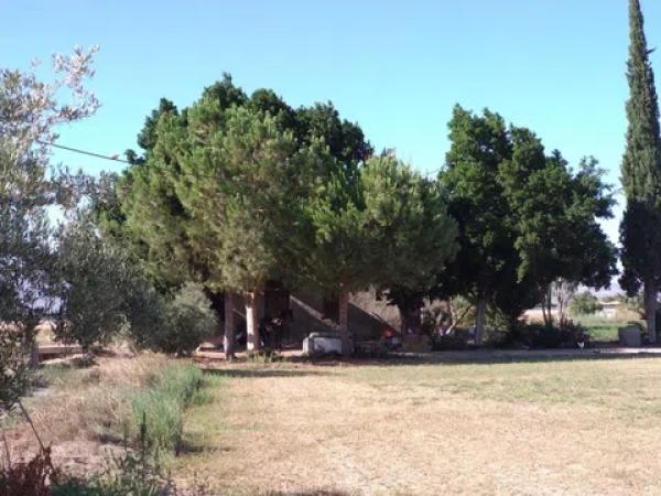 Terreno en Callosa de Segura